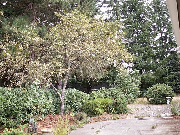 4th image of 534 NW Silver Meadow Ln #20