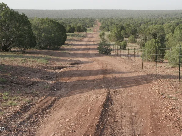 2529 Lone Star Rd, Show Low, AZ 85901