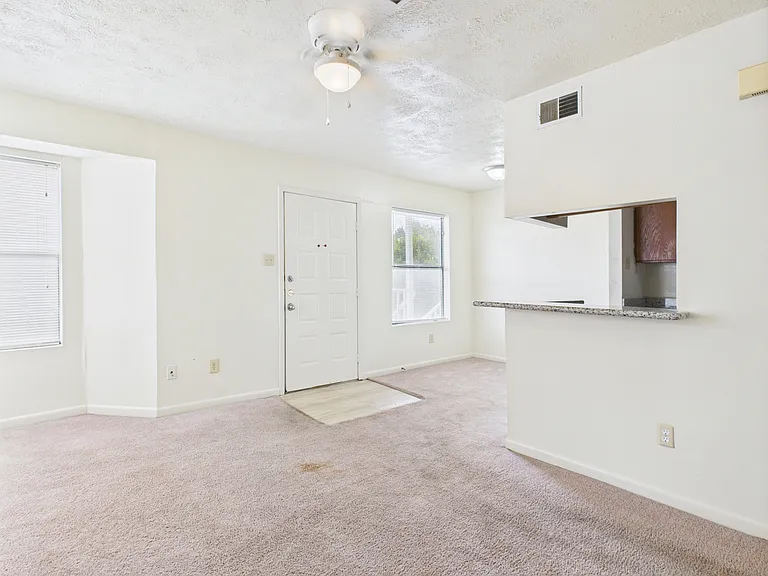 4441 Old College Rd — Photo 4