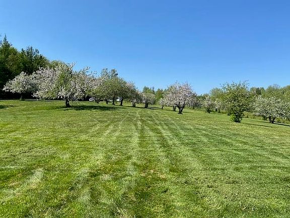 2nd image of Off Reed Road
