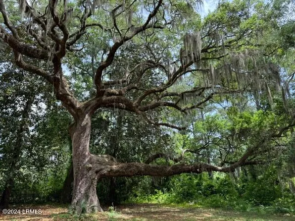 1101 Coleman Ln, Beaufort, SC 29902