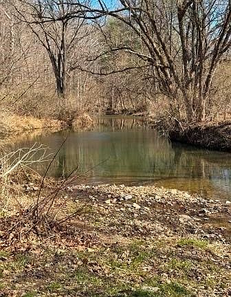 2nd image of 0 Brush Run Rd