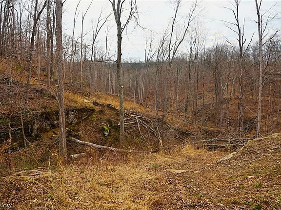 2nd image of Brimstone Rd