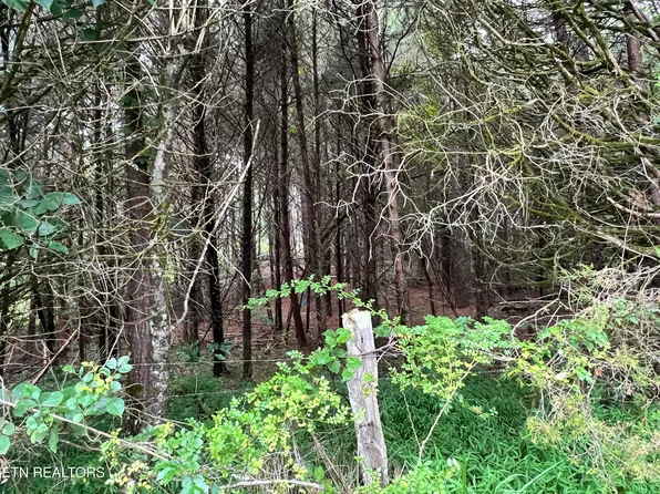 6 Willie Prigmore Rd, Decatur, TN 37322