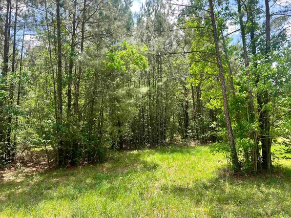 1108 Alma Dr, Lumberton, TX 77657