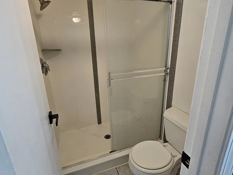 Primary bath shower and toilet