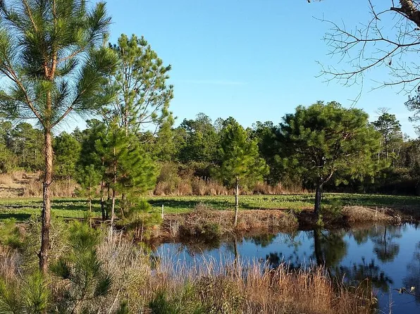 S Quitman Hwy, Greenville, FL 32331