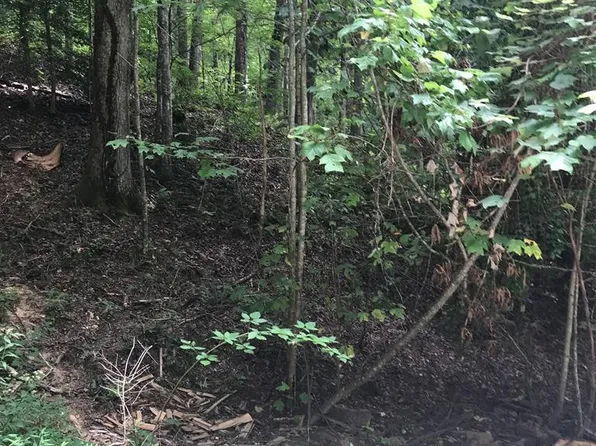 LOT 8 Vista Loop Rd, Topton, NC 28781