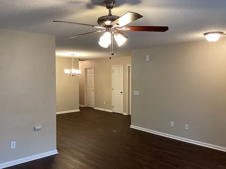237 Maypop Dr — Photo 5