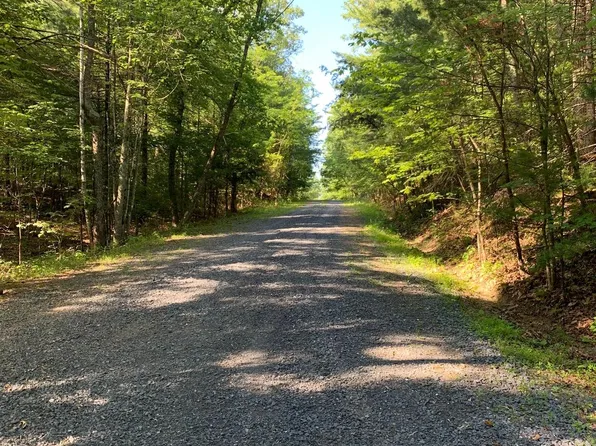 Patrick Ln, Mount Jackson, VA 22842