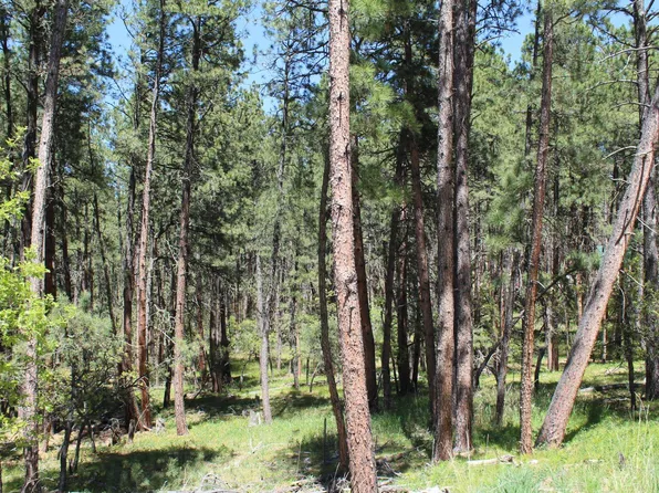 LOT 3 Bruin Rd, Hulett, WY 82720