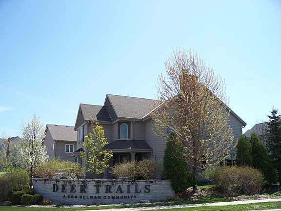 several beautiful maples