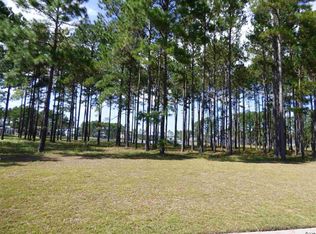 919 Fiddlehead Way LOT 410, Myrtle Beach, SC 29579