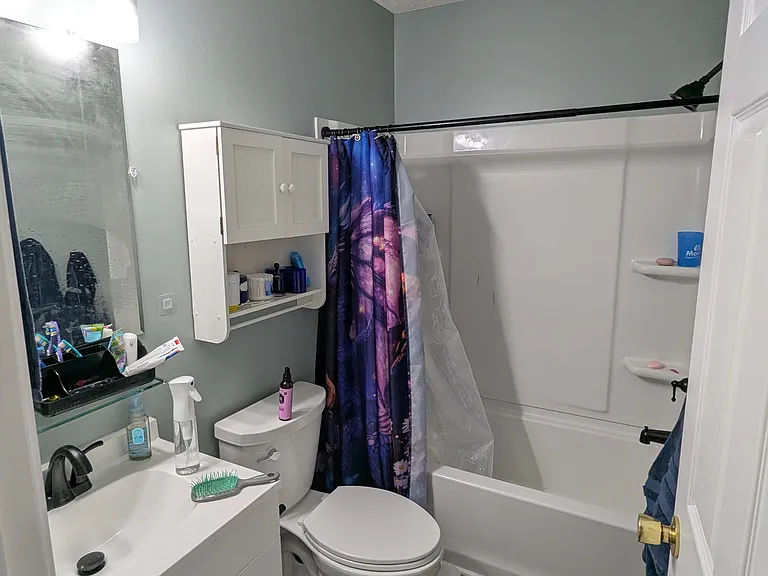 244 Hunter Hills Cir #3 — Photo 8