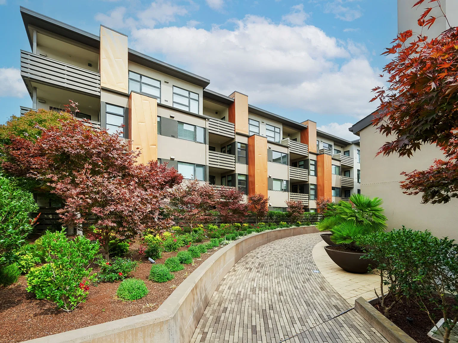 3 bed, 1430 sqft, $6,800 — Photo 4
