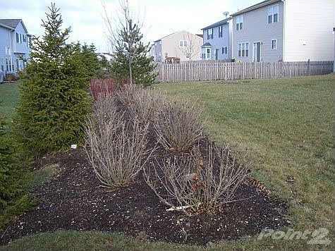 3rd image of 1864 Faxon Dr