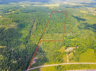 0 Millard Fillmore Rd #82, Dansville, NY 14437