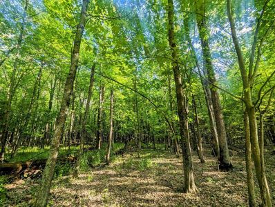 0 South Badger Lane #18, Arkdale, WI, 54613