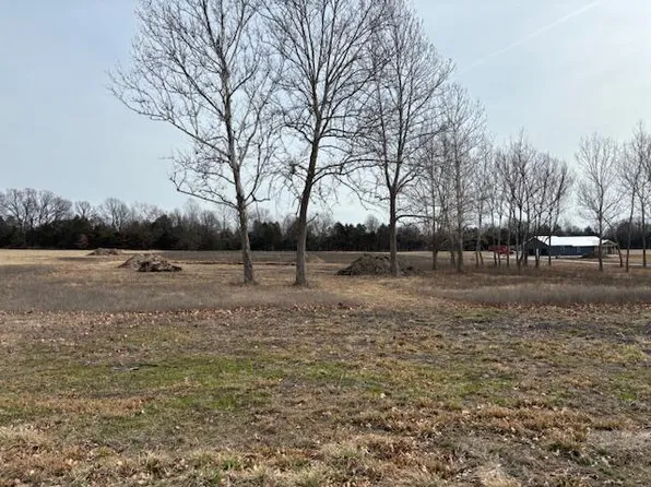(undisclosed Address), Fair Grove, MO 65648