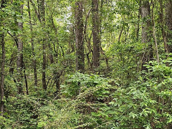 There are about 4.5 acres of ground that appear level enough for a structure on the west side of Grover Davis Road.