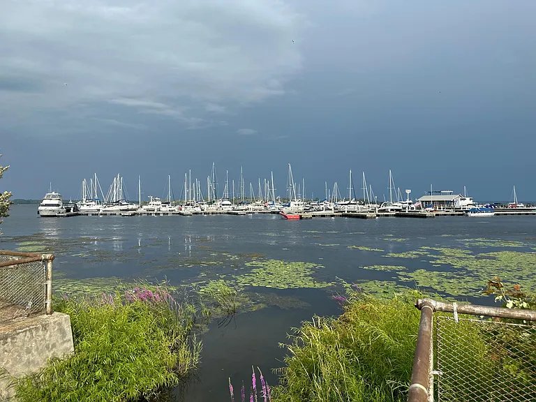 The marina.