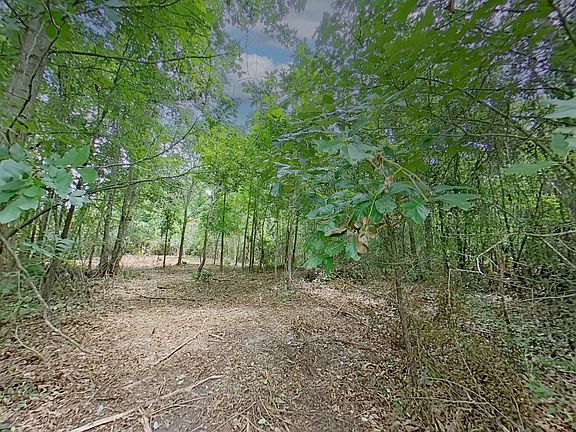 2nd image of 0 Treebark Dr