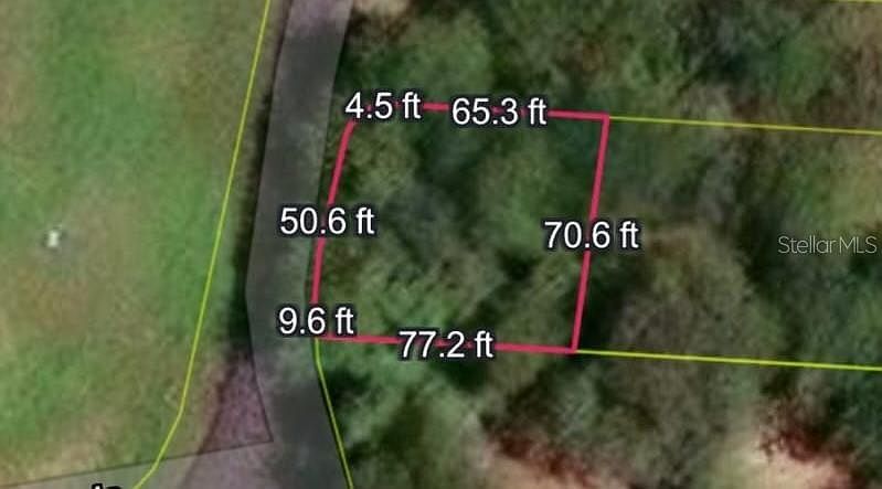 1st image of Bo Guayabo