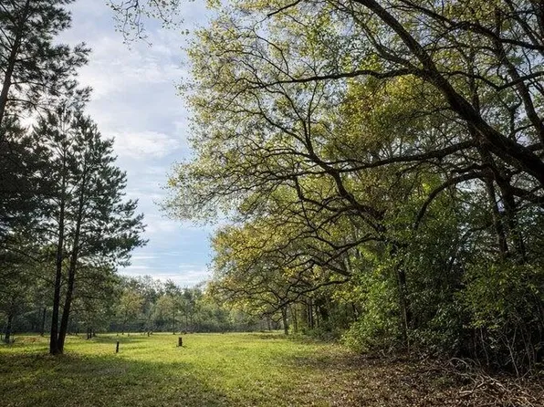 F Z Goss Rd, Picayune, MS 39466