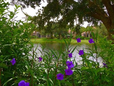 12874 Brynwood Preserve Ln, Naples, FL, 34105