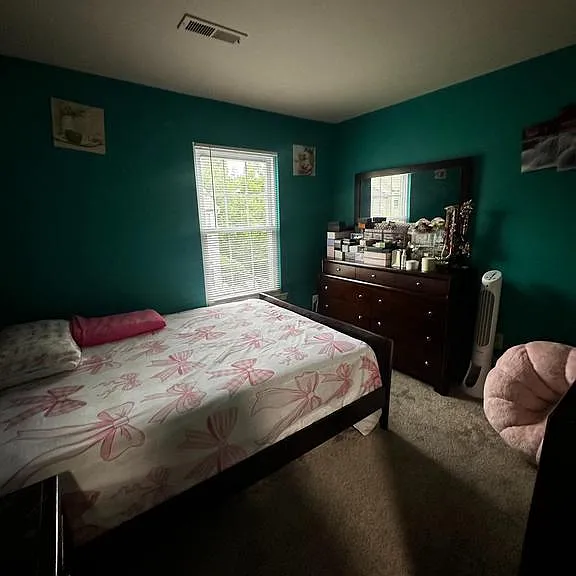 13544 Canada Goose Ct — Photo 10