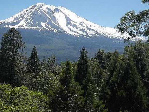 views of Mt. Shasta