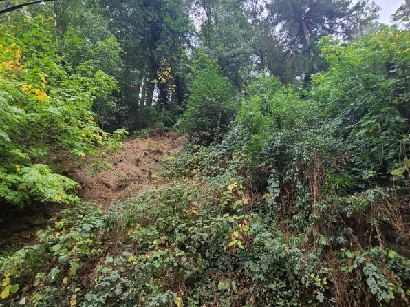 11440 Summerhome Park Road, Forestville, CA 95436