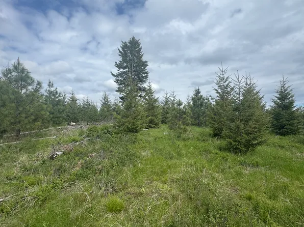 Badger Ridge Dr Parcel 3, White Bird, ID 83554