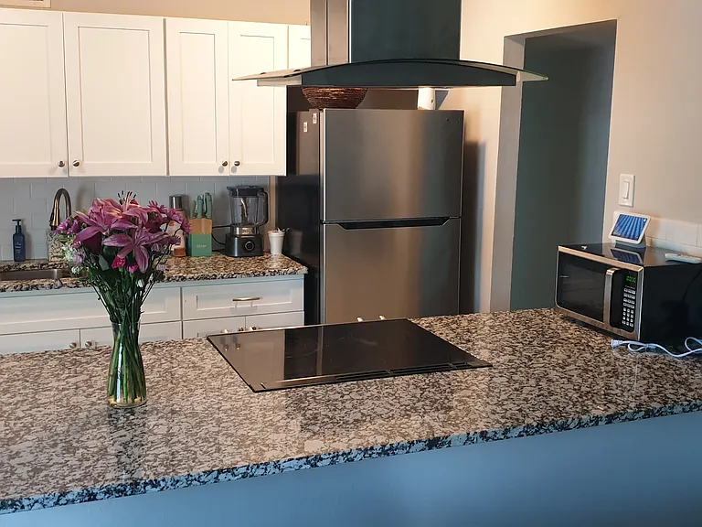 537 Hanover Dr — Photo 16
