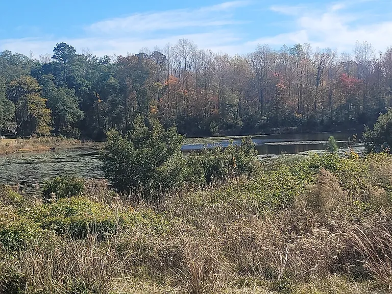 2 Kemp Dr — Photo 4
