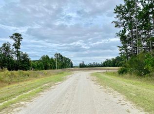 Wise Farm Rd PARCEL C, Aynor, SC 29511