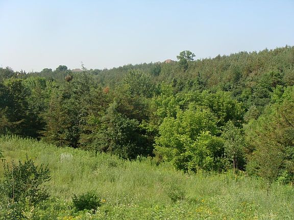 Nearby