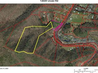 13504 Cruso Rd, Canton, NC 28716