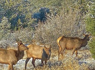 1 N Boulder Ridge Trl #459, Seligman, AZ 86337