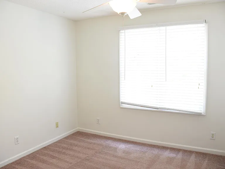 213 Snow Camp Dr — Photo 17