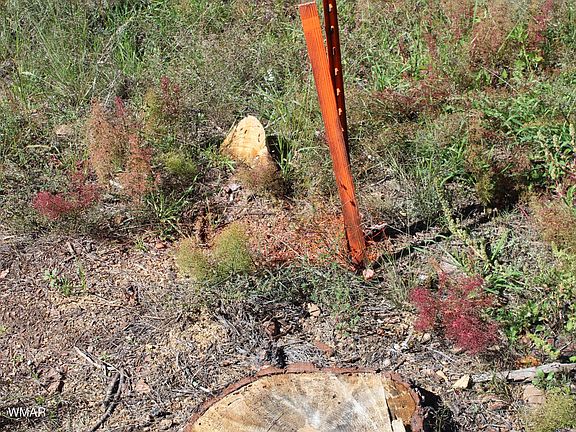 3rd image of 004T Elk Trl
