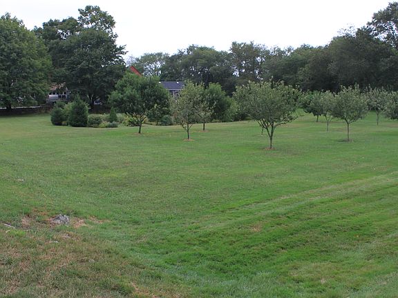 the Orchard