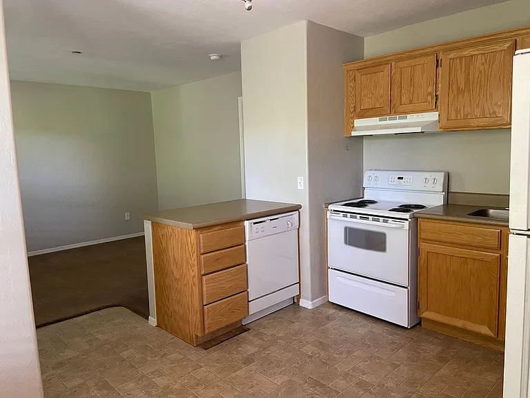 339 N Rush St — Photo 4