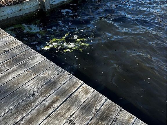 2nd image of 2682 Lake Upchurch Dr