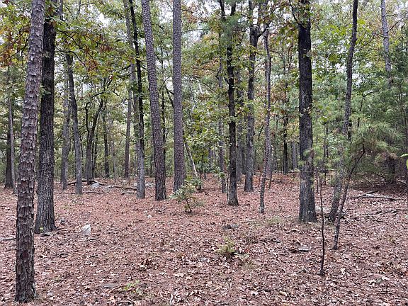 5th image of 61 Whispering Pines Loop
