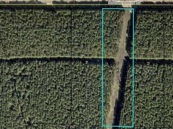 N County Line Rd, Unadilla, GA 31091