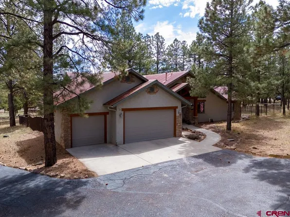 405 Bear Cub Drive, Ridgway, CO 81432