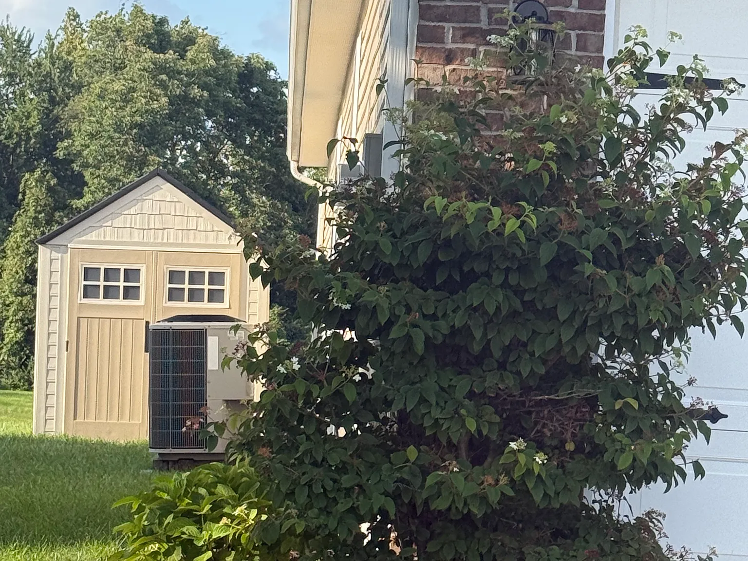 3 bed, 1440 sqft, $2,250 — Photo 2