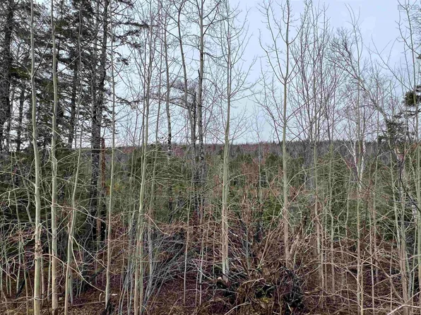 Leitches Creek Rd, Cape Breton, NS B2A 3Y9