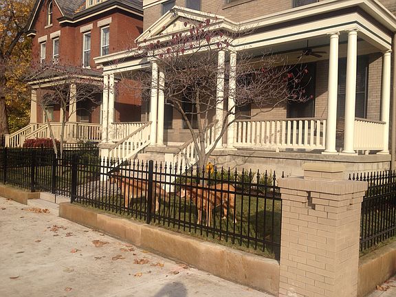 3rd image of 794 Franklin Ave